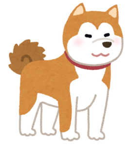 dog_akitainu-267x300-6084911