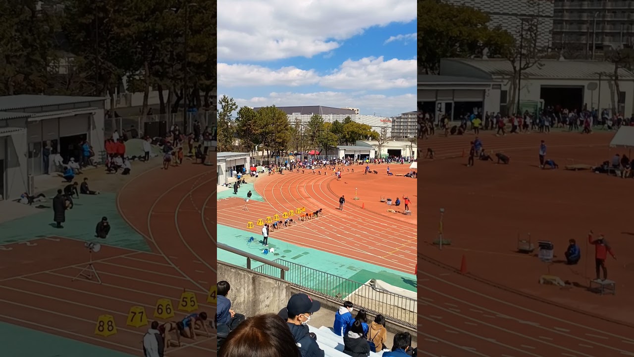 1754678575_maxresdefault-6563226-1907189-jpg
